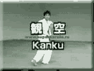 Kata free video (avi). Kyokushin karatenin bütün katalarının videoları-avi